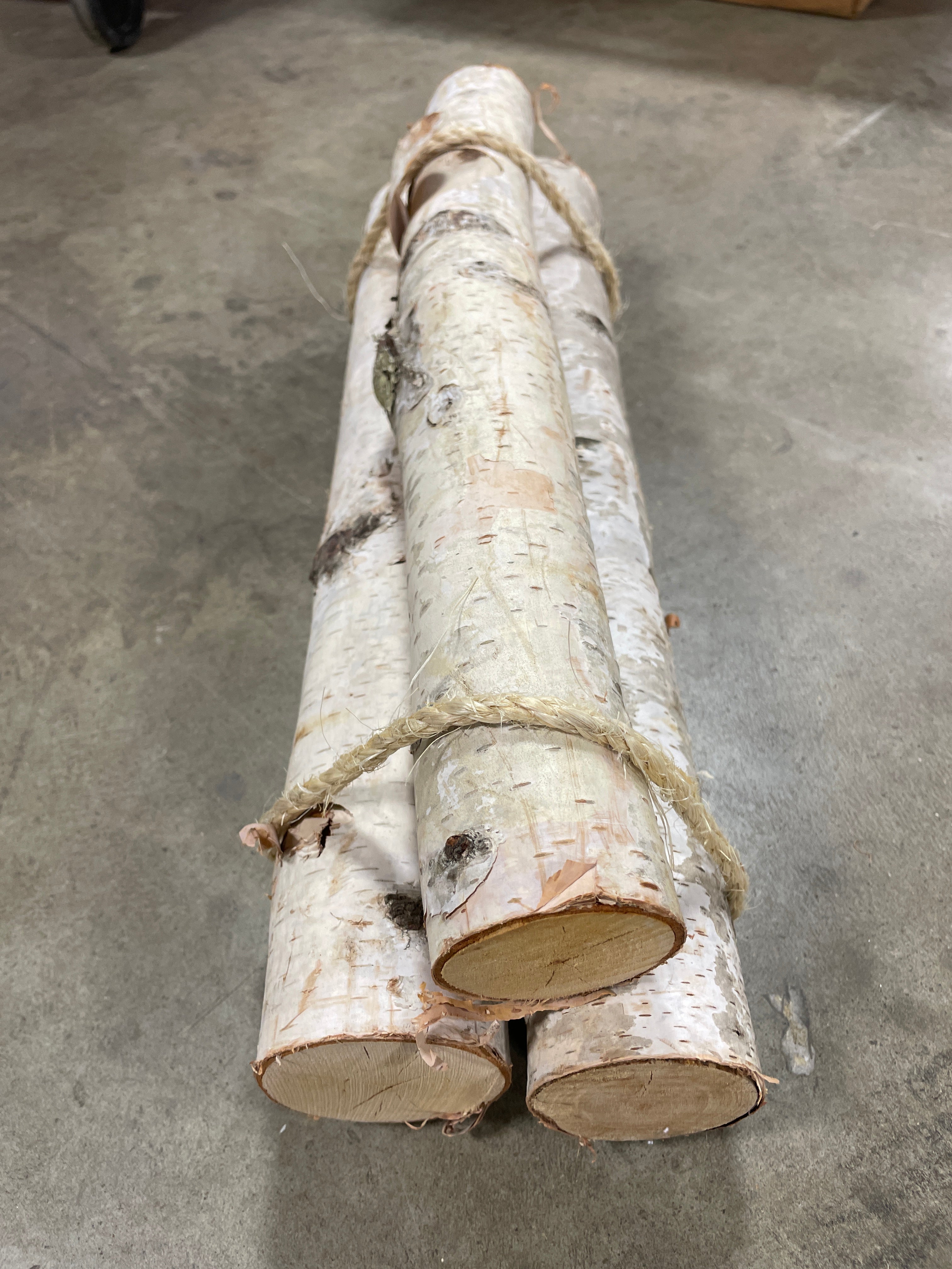 Birch log Set of 3, no further discounts