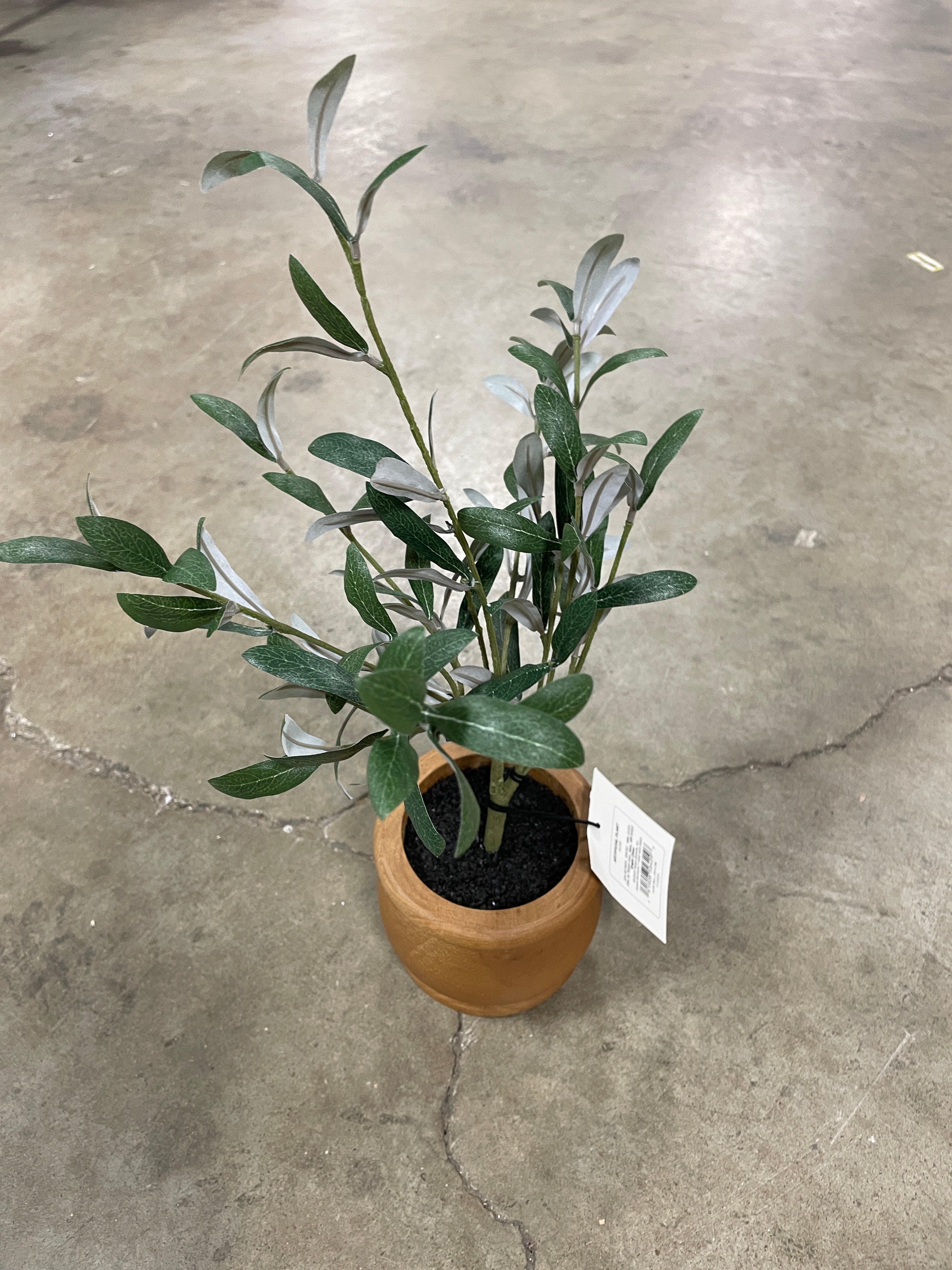 16" Faux Olive Plant, no further discounts