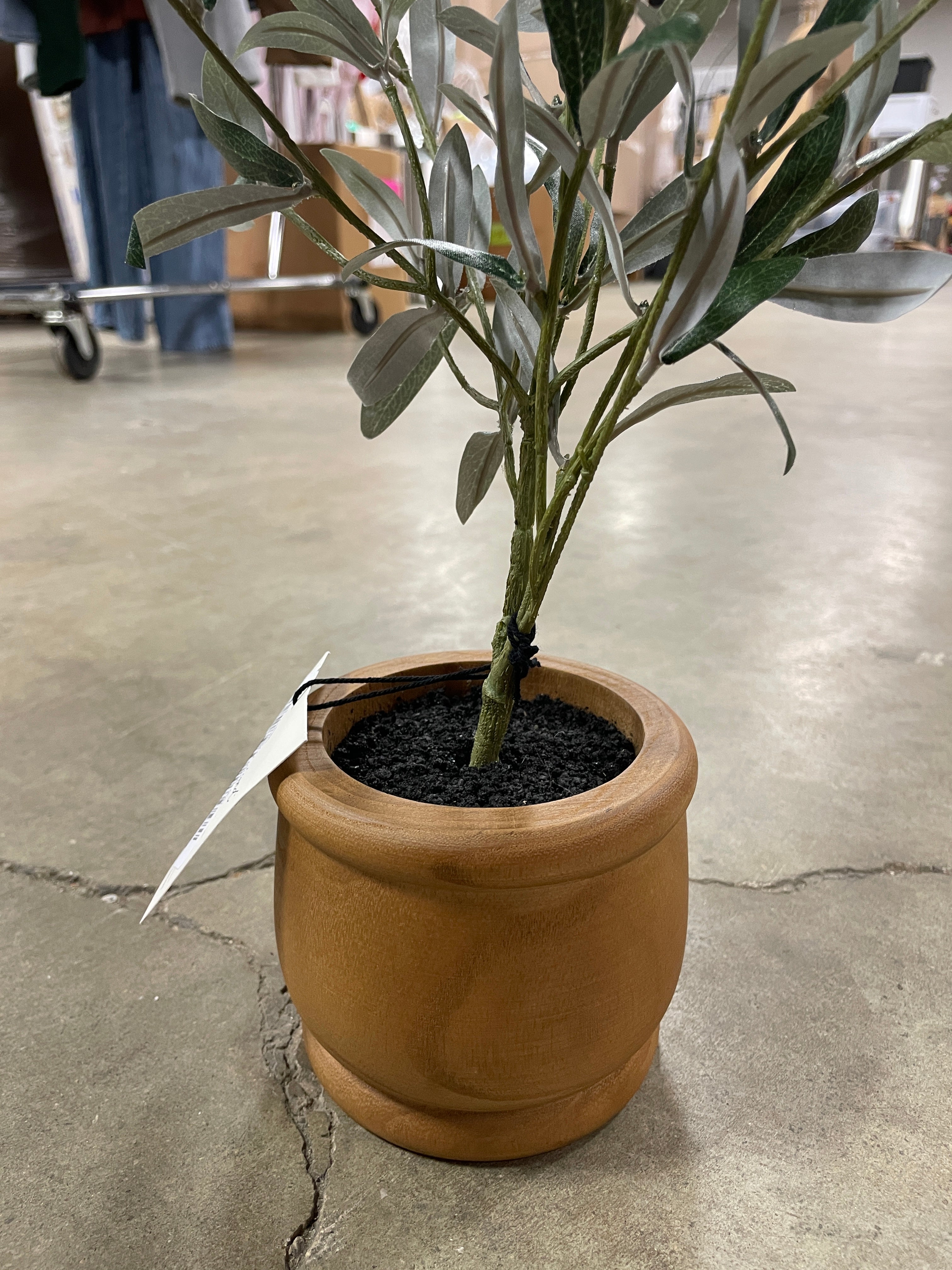 16" Faux Olive Plant, no further discounts