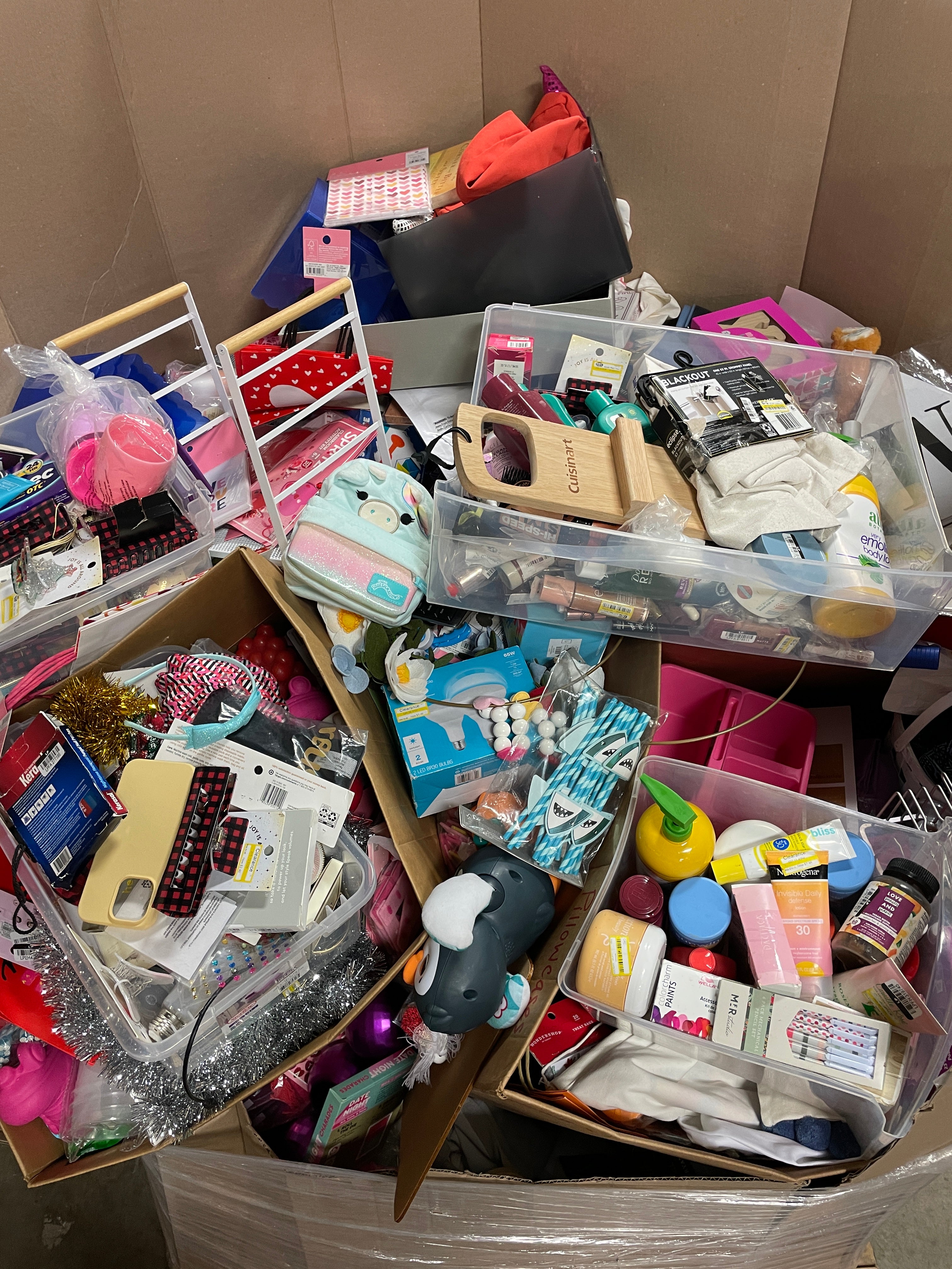 1 Pallet Unmanifested Liquidated approximately 1145 items