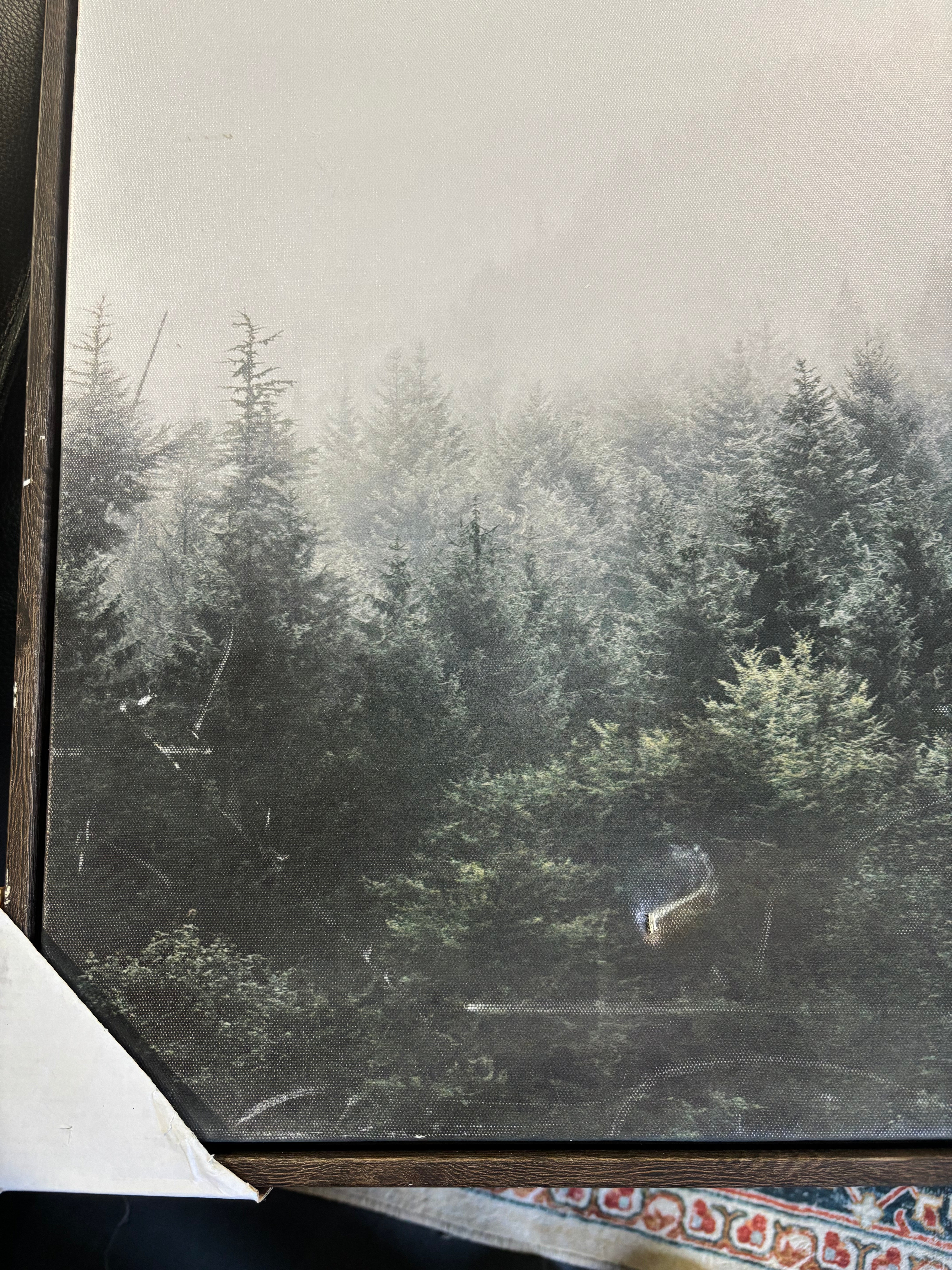 24" x 30" Mystic Forest Framed Canvas SHOWROOM ITEM