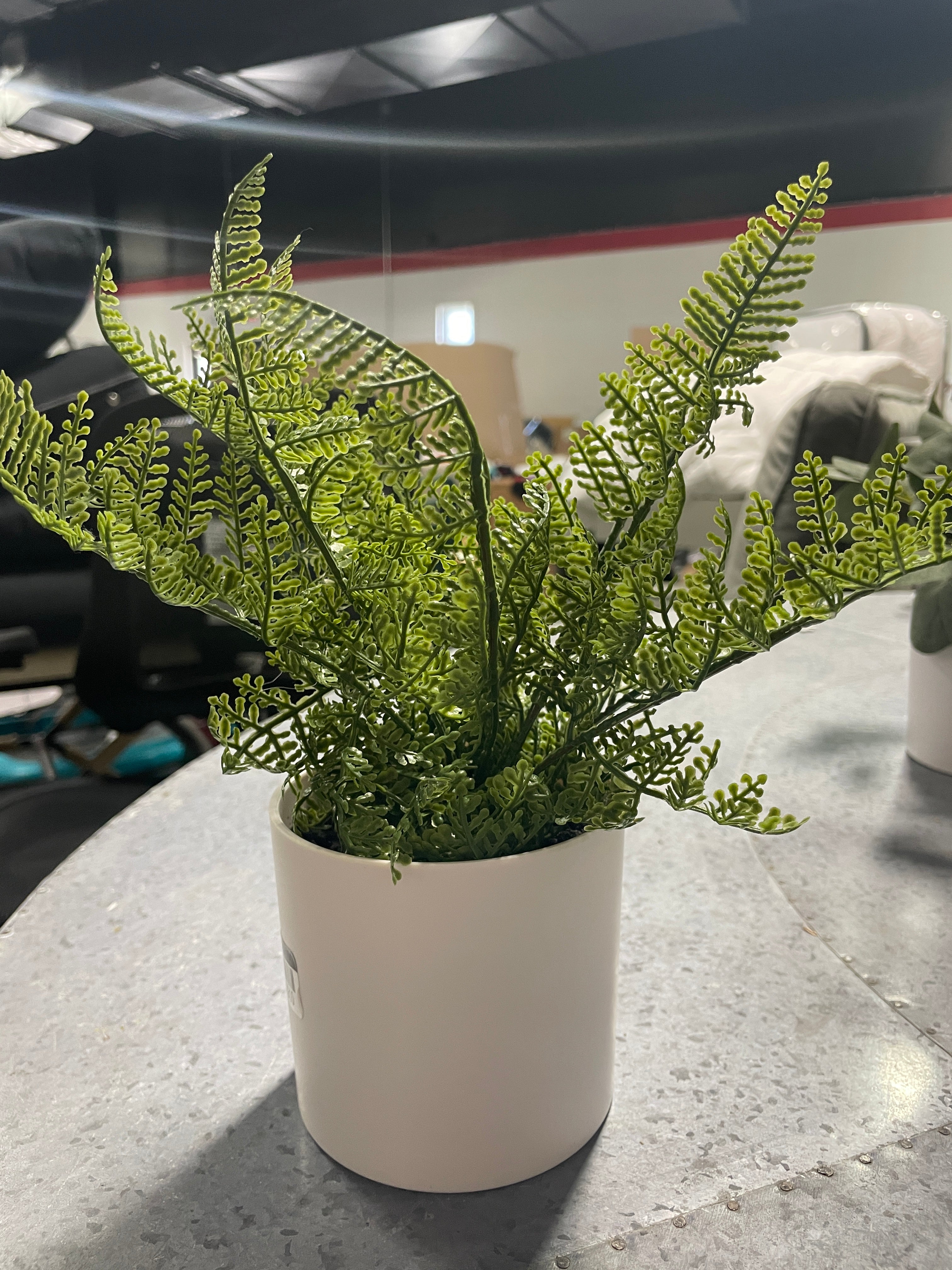 SET OF 50 Artificial Fern Plant, final cut