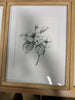 (Set of 3) Framed Antique Floral Print Set - Natural SHOWROOM ITEM