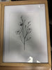 (Set of 3) Framed Antique Floral Print Set - Natural SHOWROOM ITEM