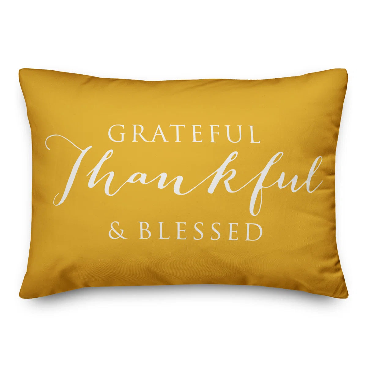 Indoor/Outdoor Throw Pillow