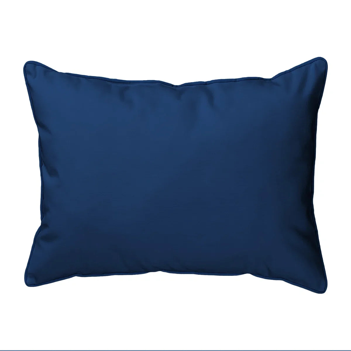 Indoor/Outdoor Throw Pillow