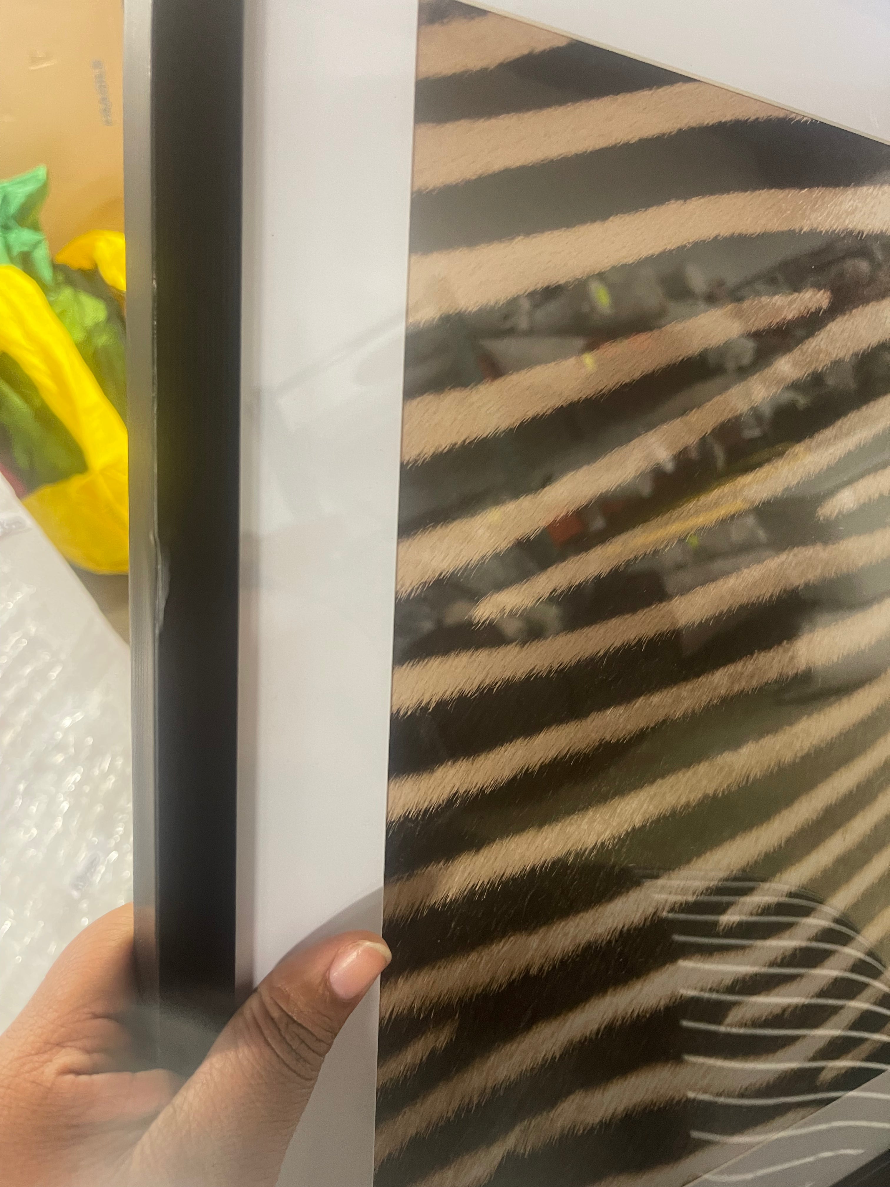 2pc Zebra Close up Glass Framed Wall Posters: Modern Animal Photography Prints
