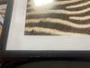 2pc Zebra Close up Glass Framed Wall Posters: Modern Animal Photography Prints