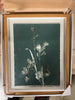 (Set of 2) Orchid Flowers Framed Wall Art: Botanical Lithograph, Modern Decor