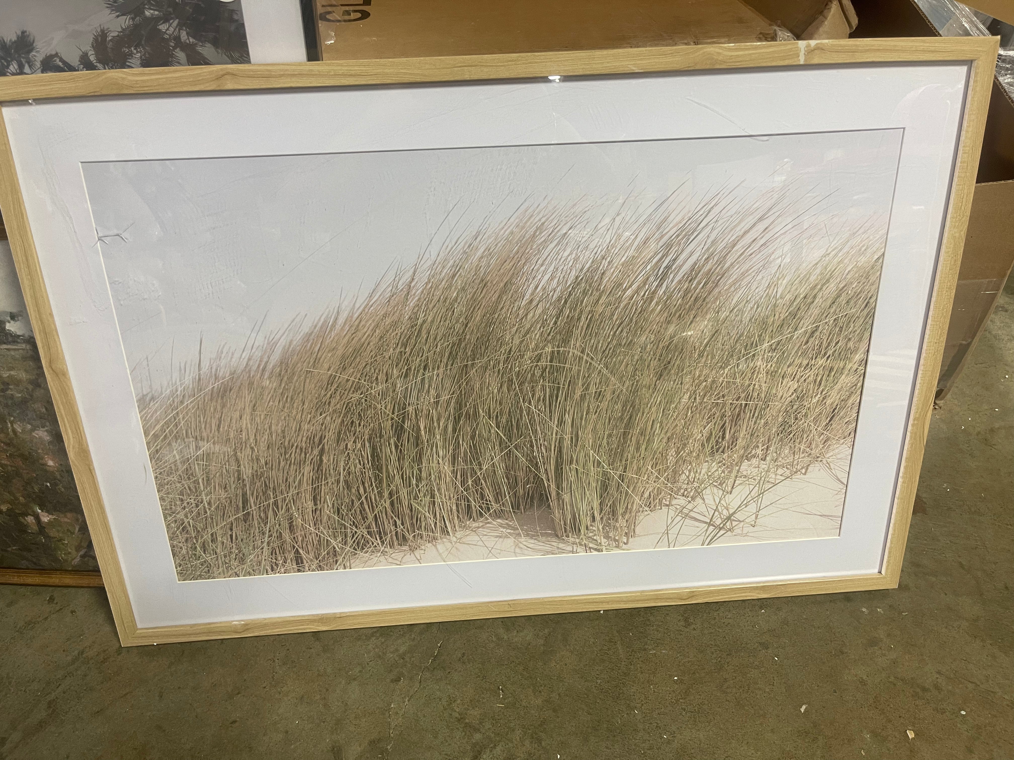 Grassy Dune Framed Wall Art