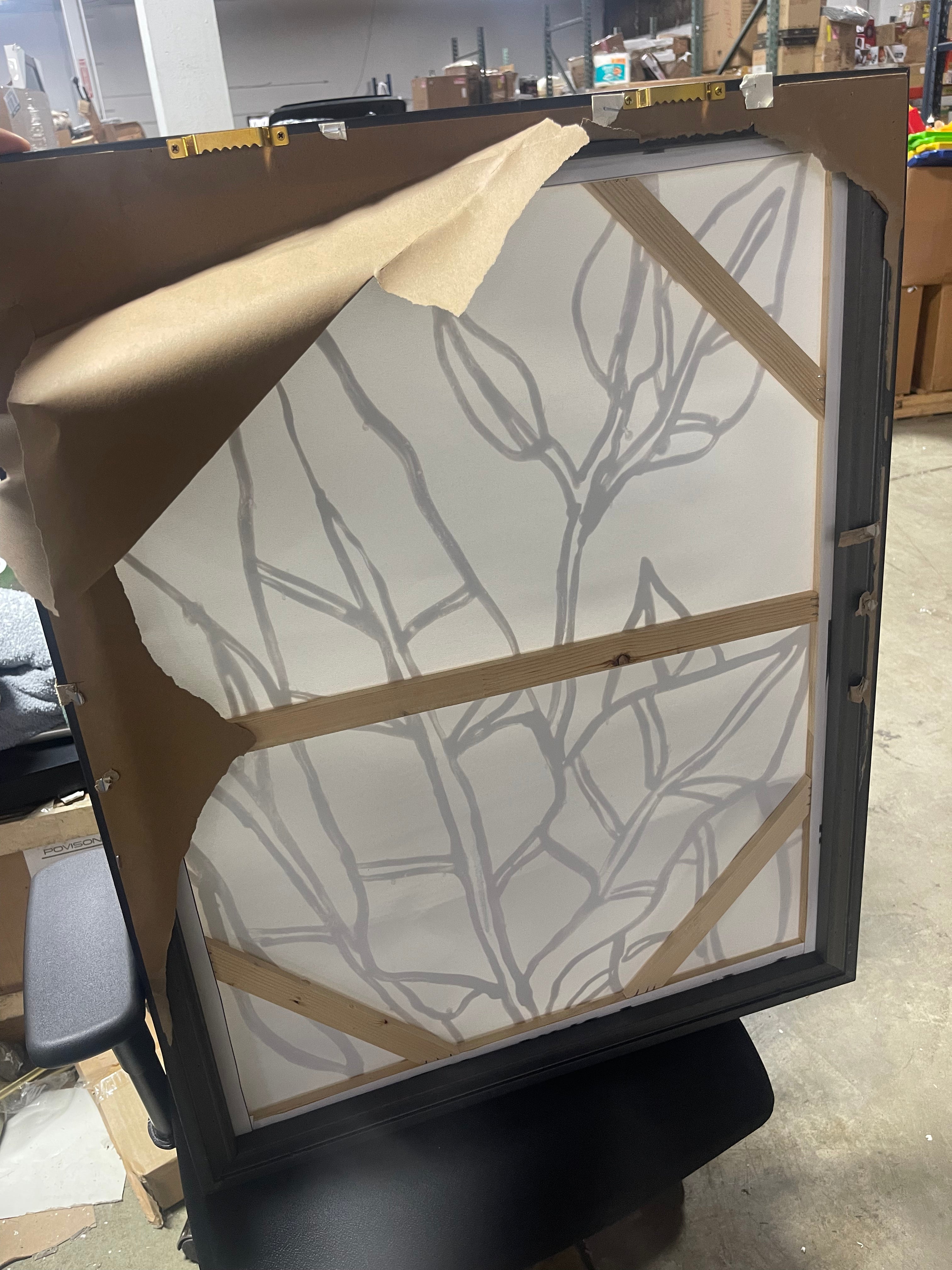 Botanical Sketch Framed Wall Canvas White/Black