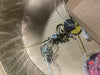 3-Light Bryar Chandelier Brass/Crystal - River of Goods: UL Listed, Adjustable Height, Metal & Crystal Drum