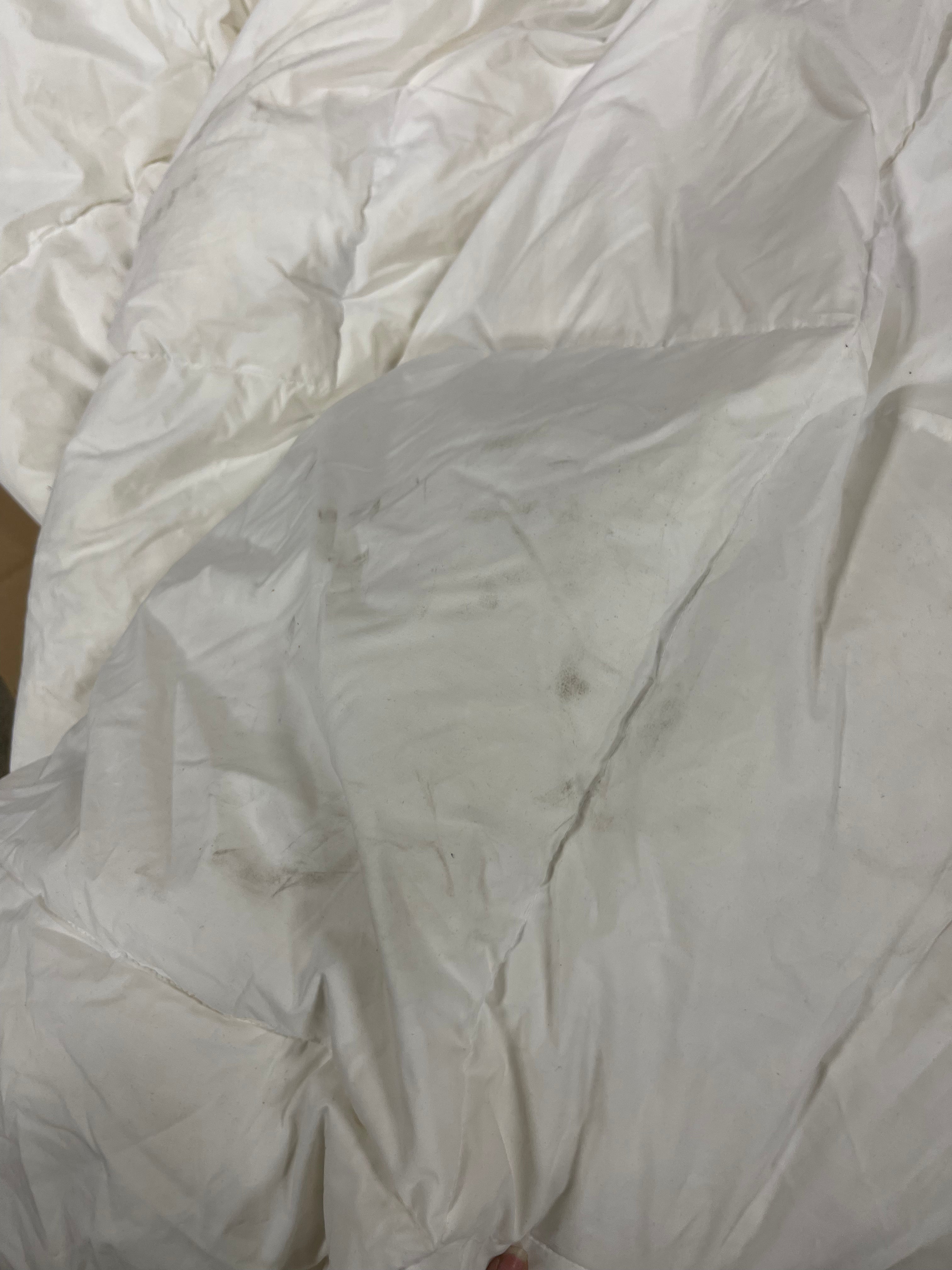 All Seasons Performance Down Alternative Comforter - Full/Queen