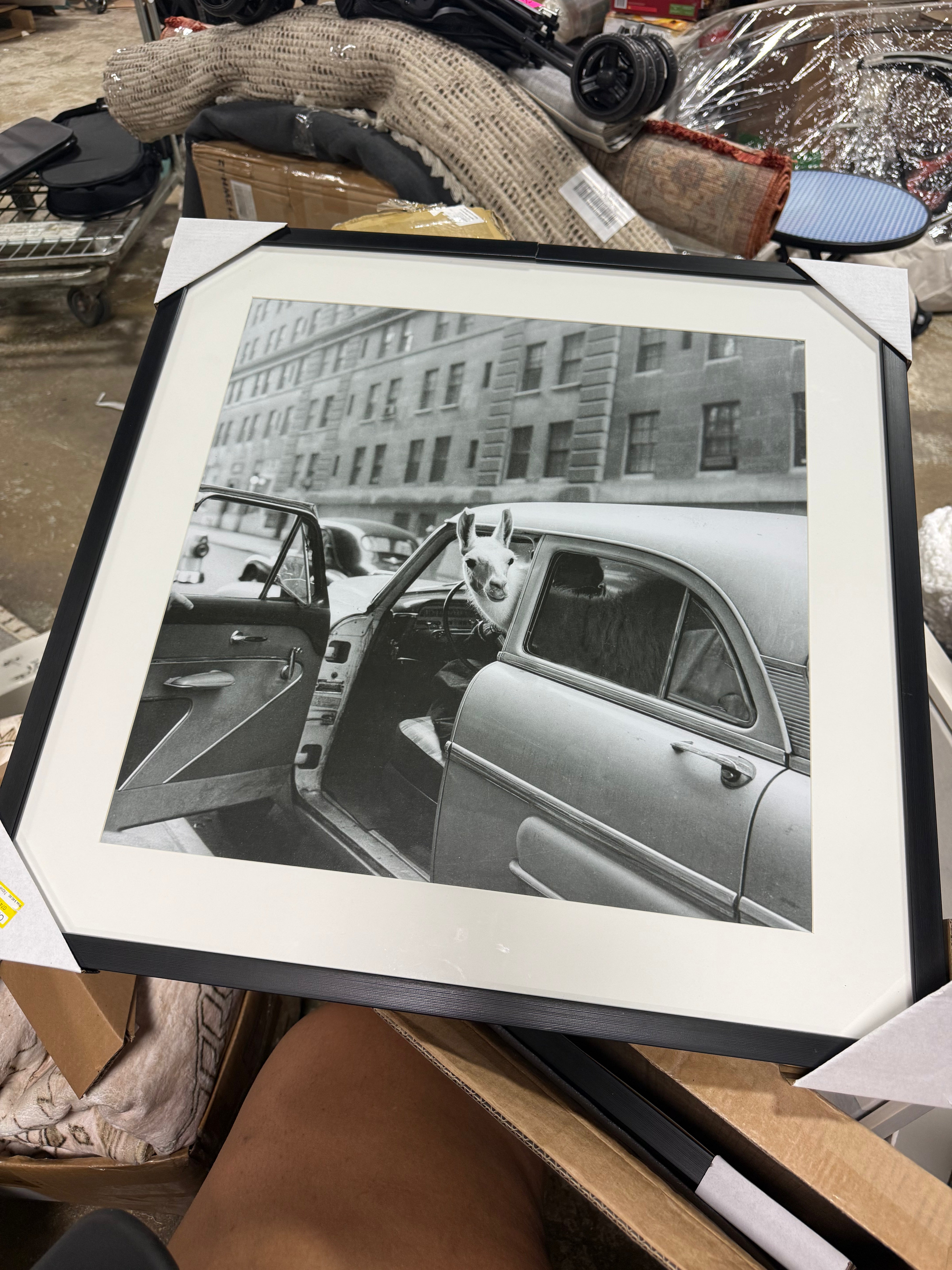 'Well Hello There' Framed Wall Poster - Modern Lithograph Art, Polystyrene Frame