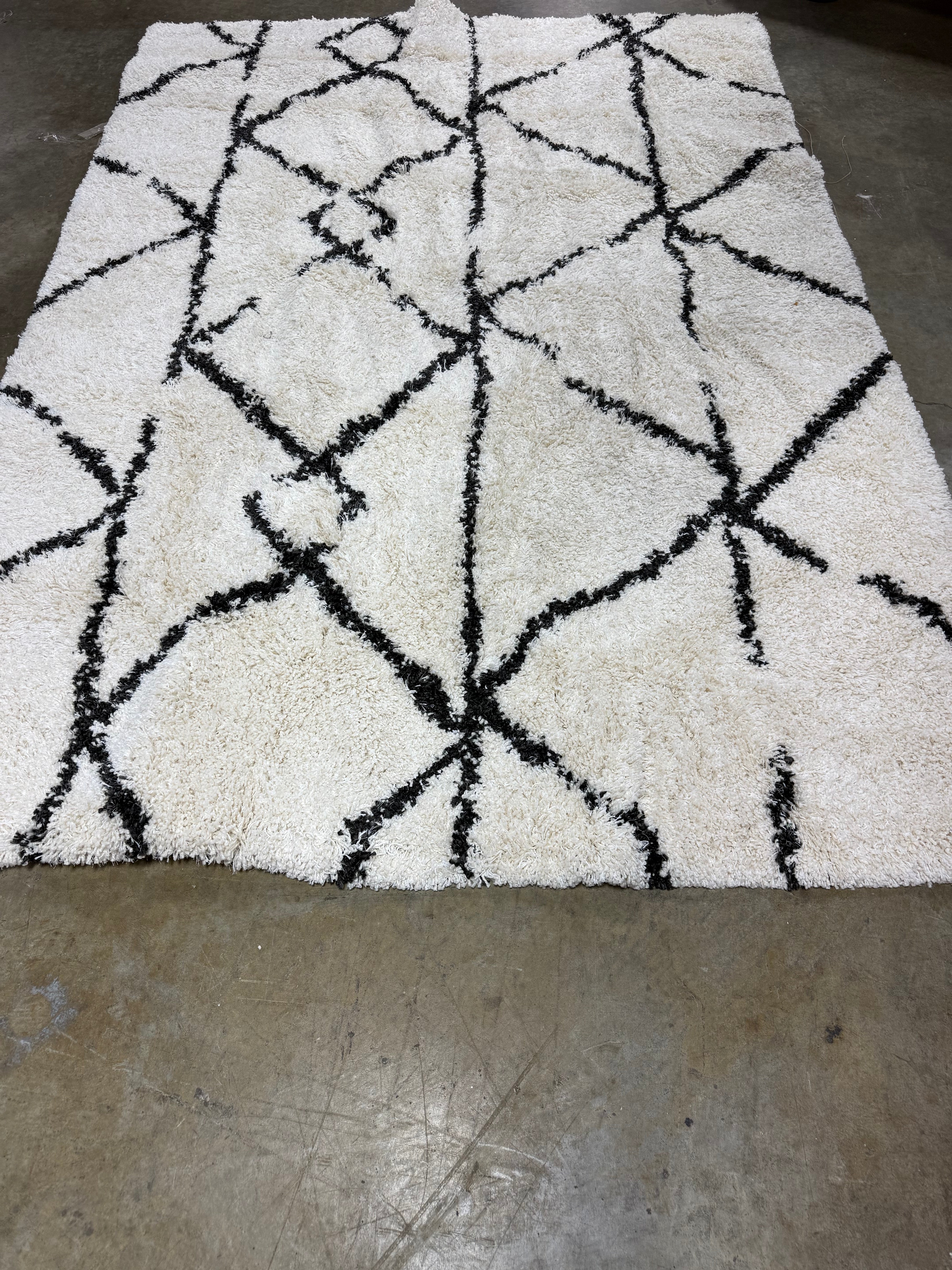 Modern Shag Rug Ivory and Black Area Rug 7'x10'