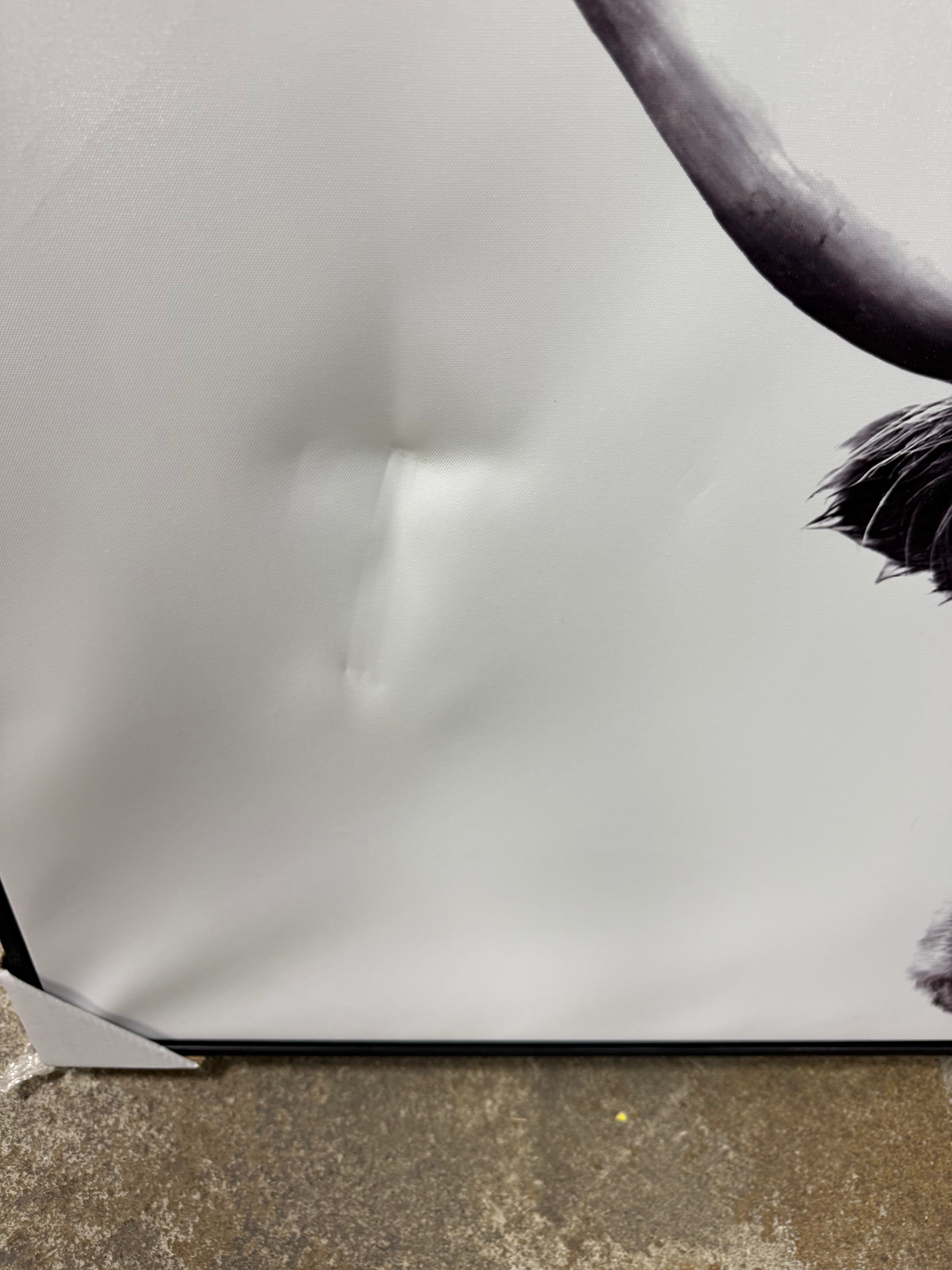 Buffalo Wall Canvas Black