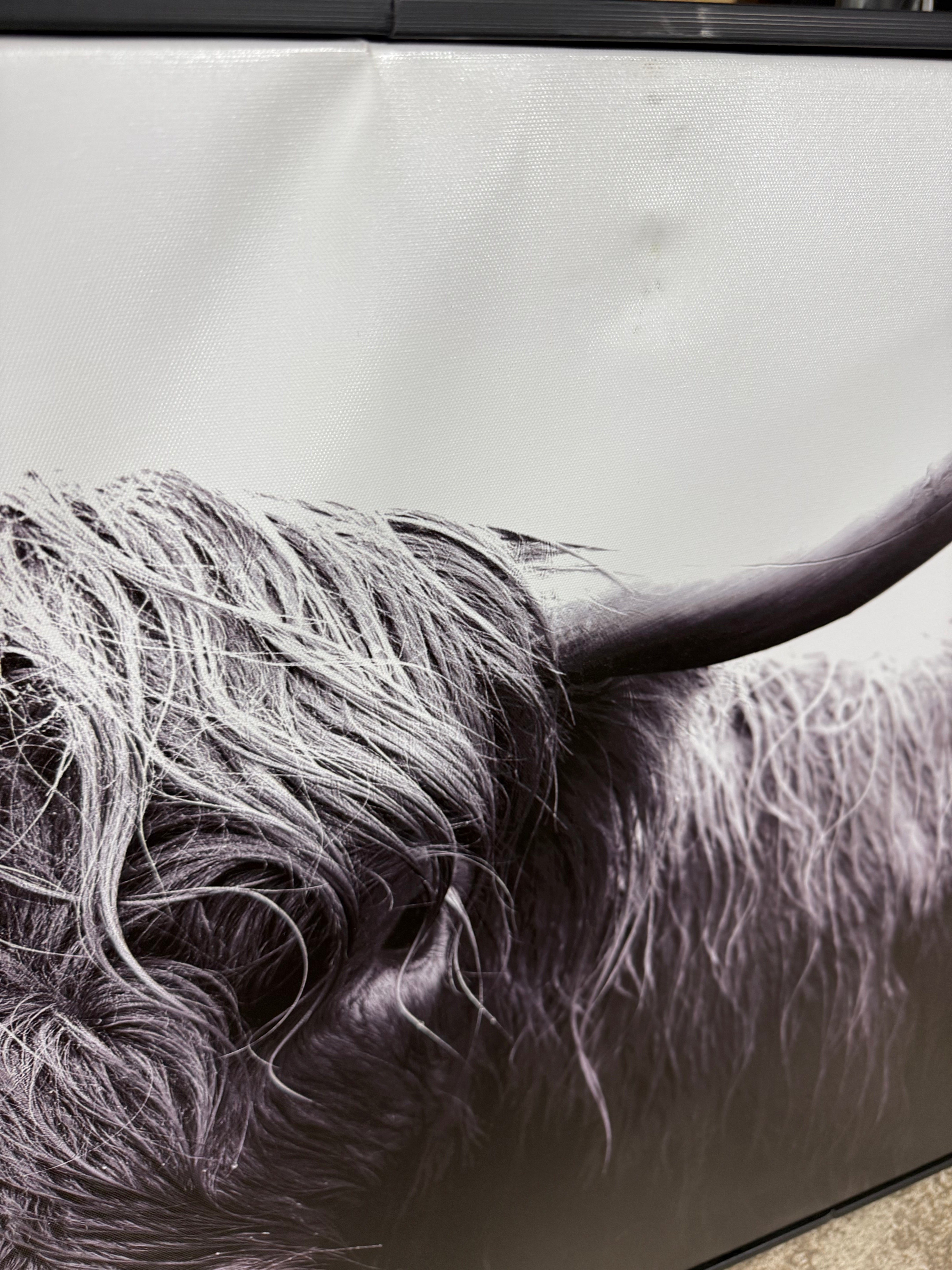 Buffalo Wall Canvas Black