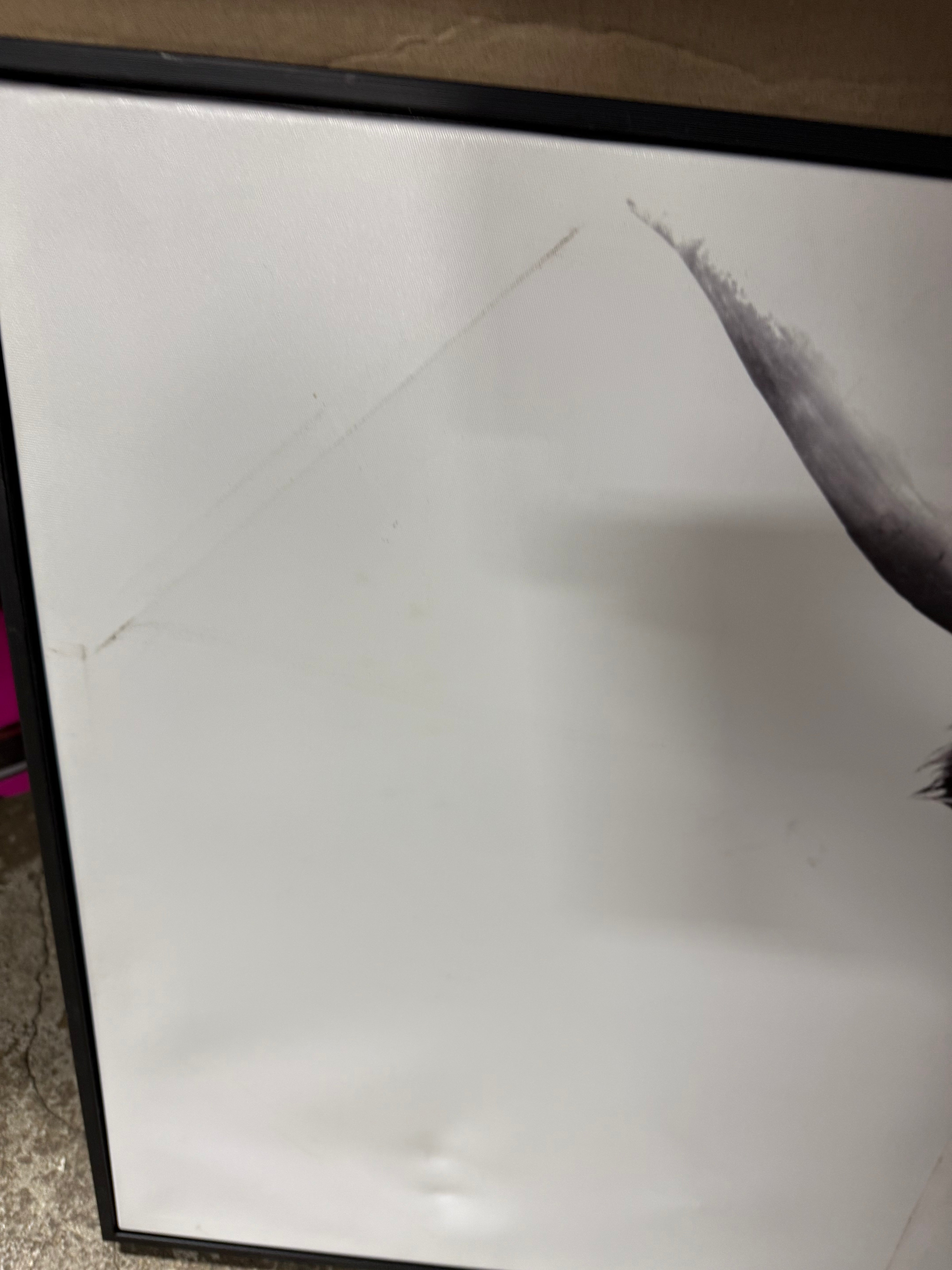 Highland Cow Framed Canvas