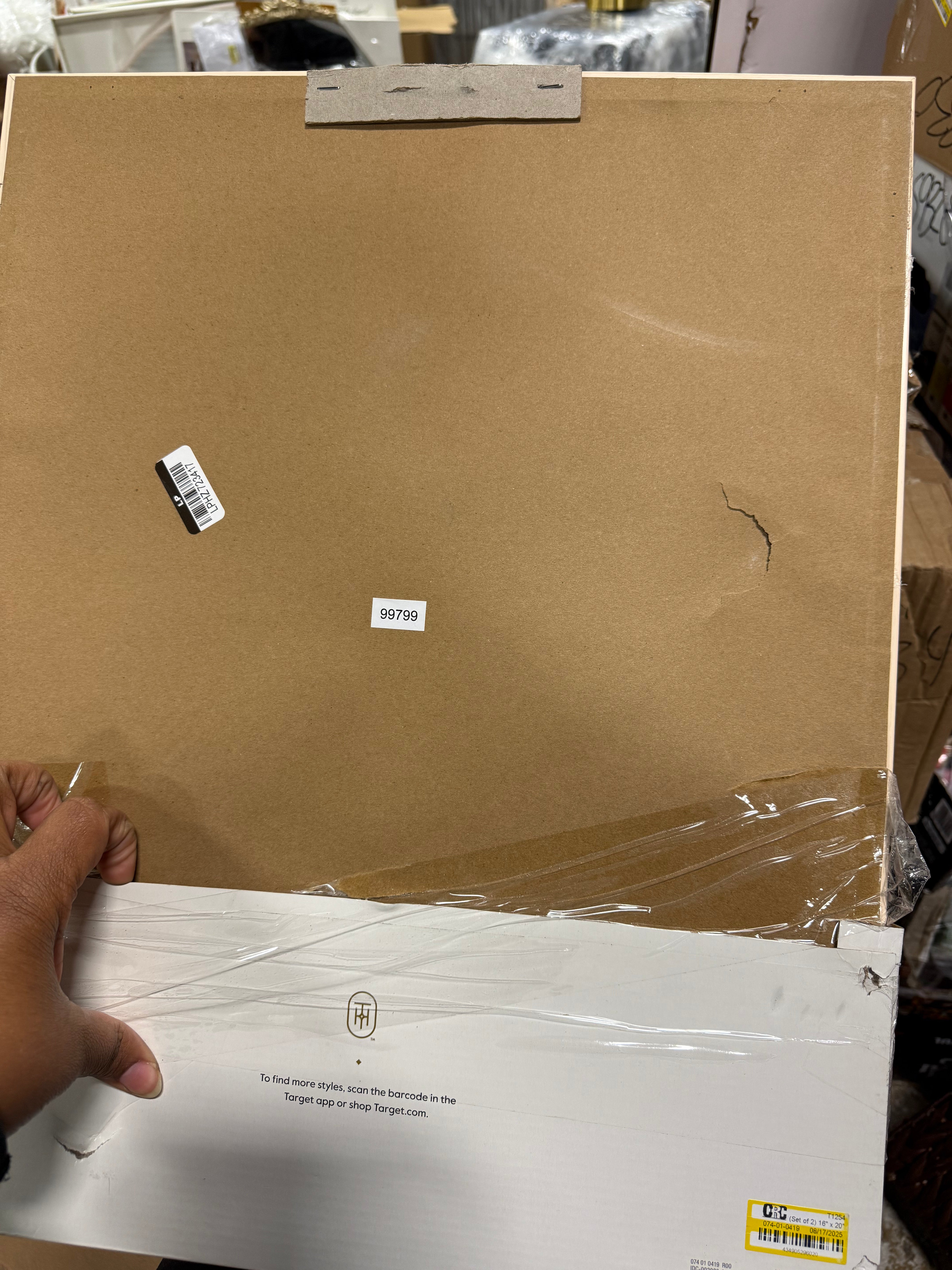 (Set of 2) Leaf Framed Wall Art Set Natural - Botanical Drawing