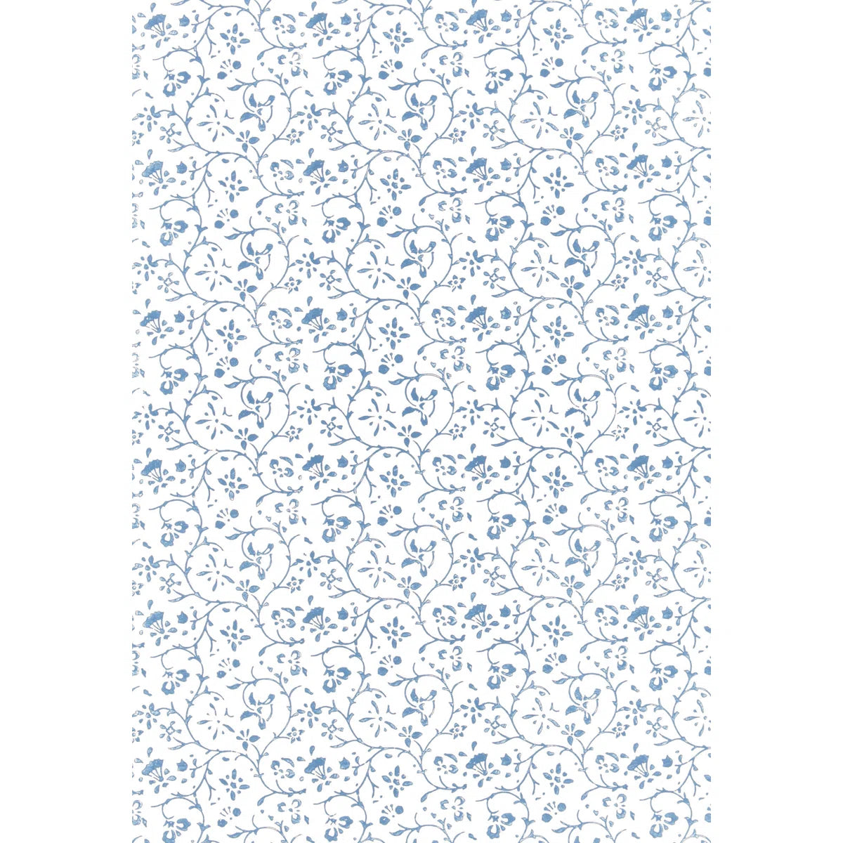 Kyara Vine Wallpaper