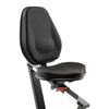 Dual Action Recumbent Exercise Bike