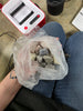 22 Piece Professional Rock Tumbler with Clay & Gemstones