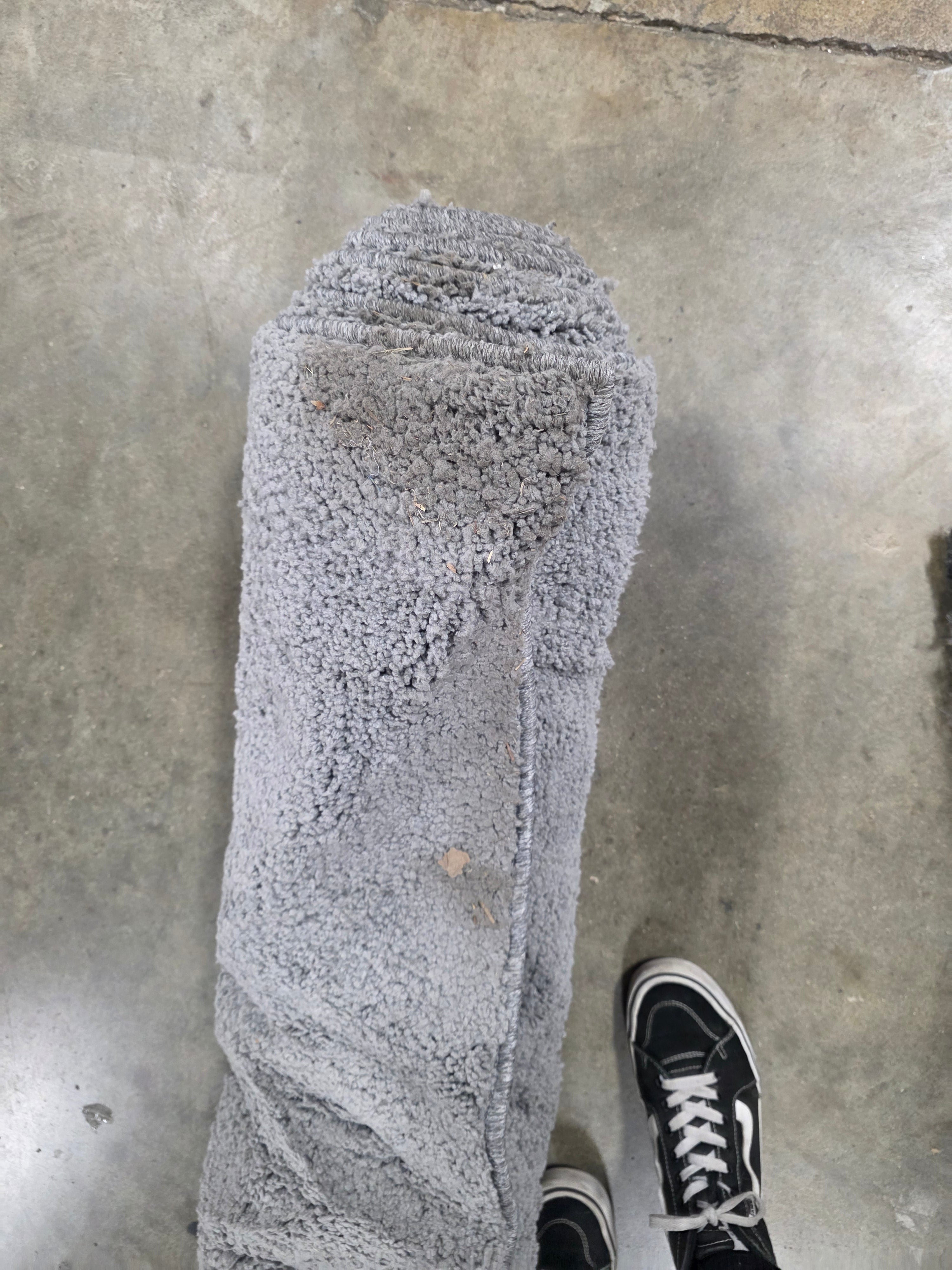 Solid Tufted Micropoly Shag Area Rug - 6'6"x10'