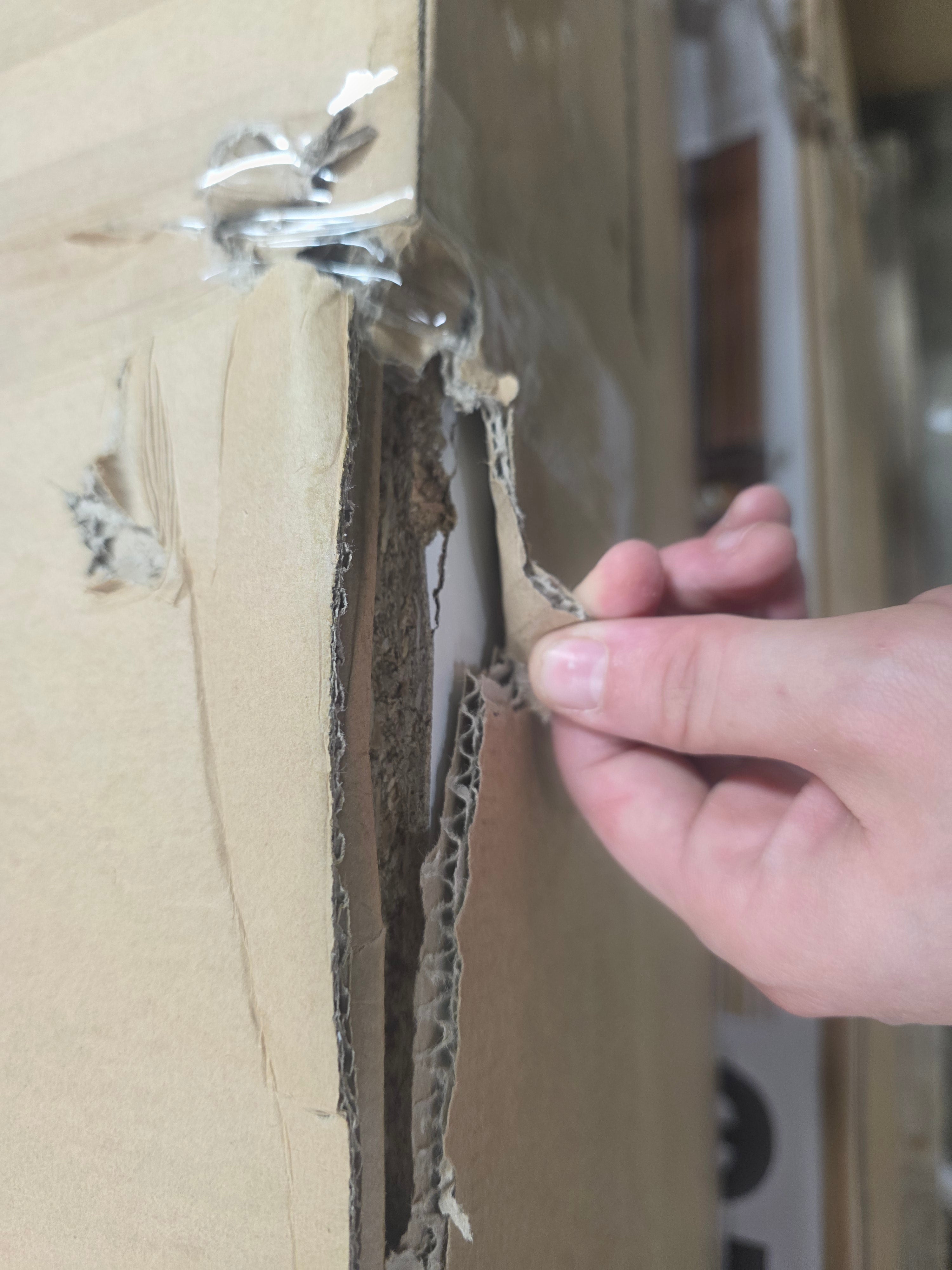 5 Shelf Bookcase Natural