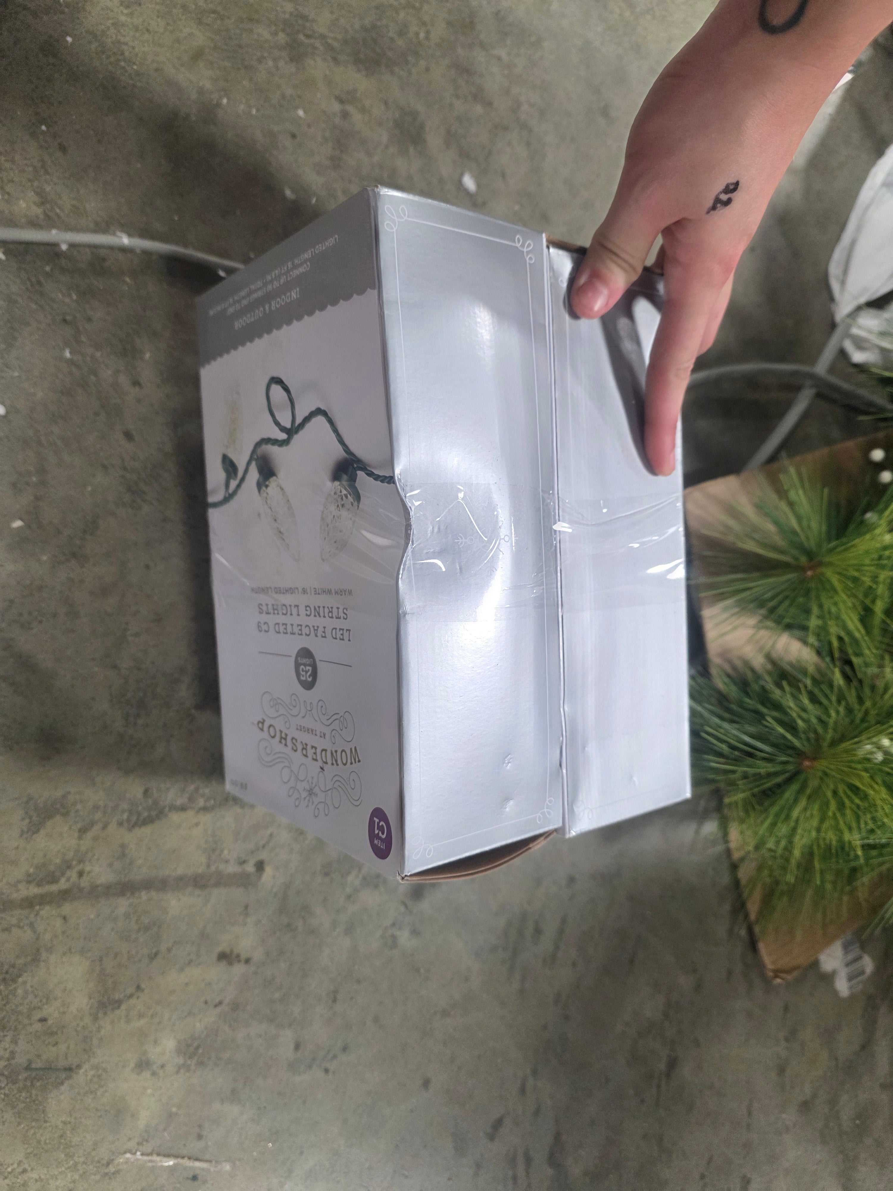 25ct LED C9 Faceted Christmas String Lights with Green Wire, Set of 2, final cut