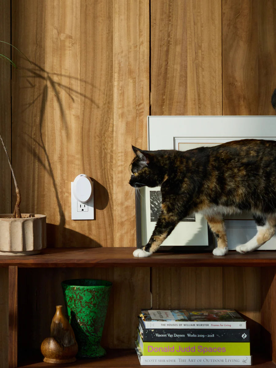 Pura Smart Mini Home Fragrance Diffuser, final cut
