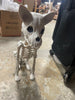 French Bulldog Skeleton Decoration