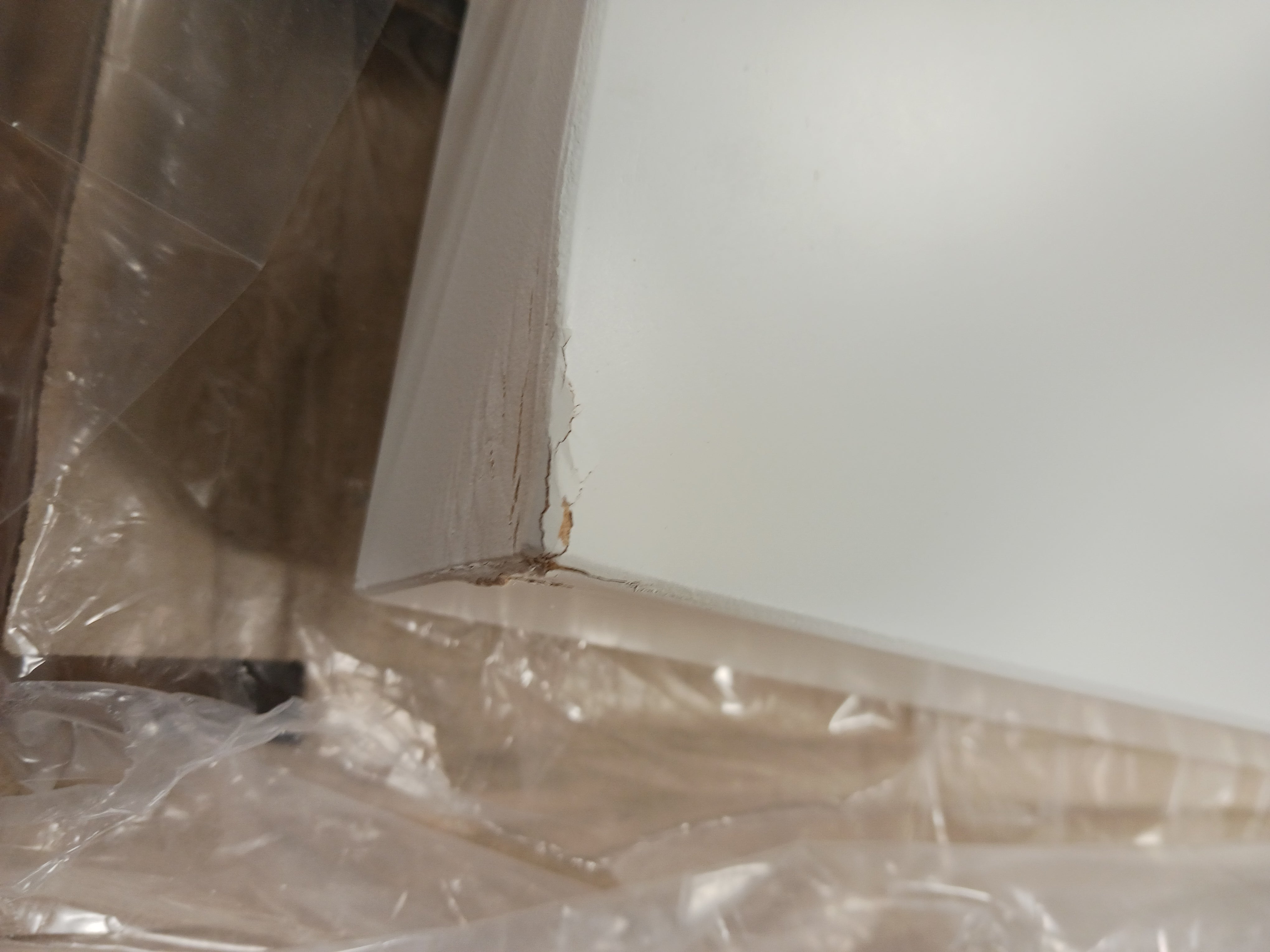 Flush Solid Painted Standard Door