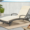 Salem Outdoor Chaise Lounge Cushion - Beige