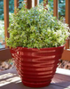 Southern Patio Beehive Planter