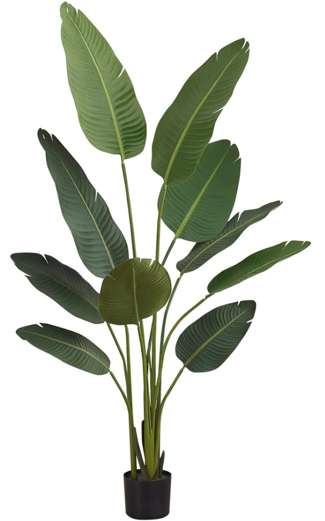 60" Tall, Bird Of Paradise Tree SHOWROOM ITEM