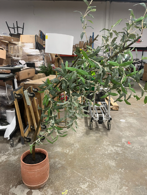 Olive Artificial Tree with Cement Pot, 72"