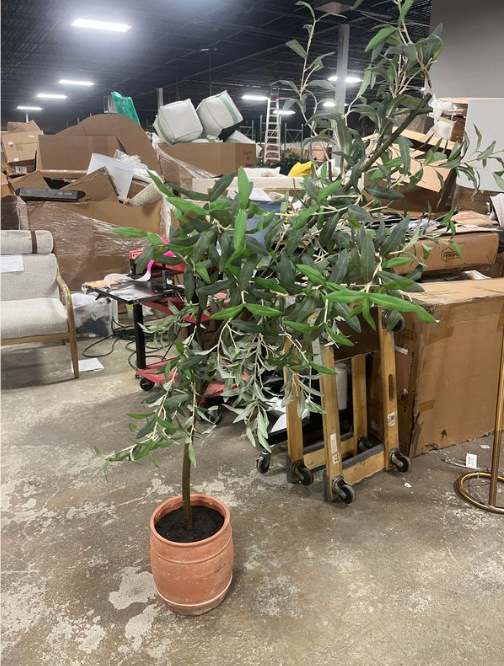 Olive Artificial Tree with Cement Pot, 72"