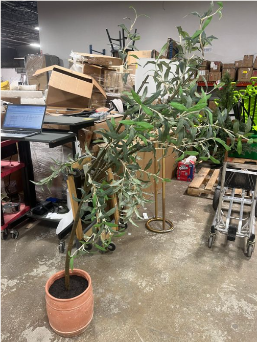 Olive Artificial Tree with Cement Pot, 72"