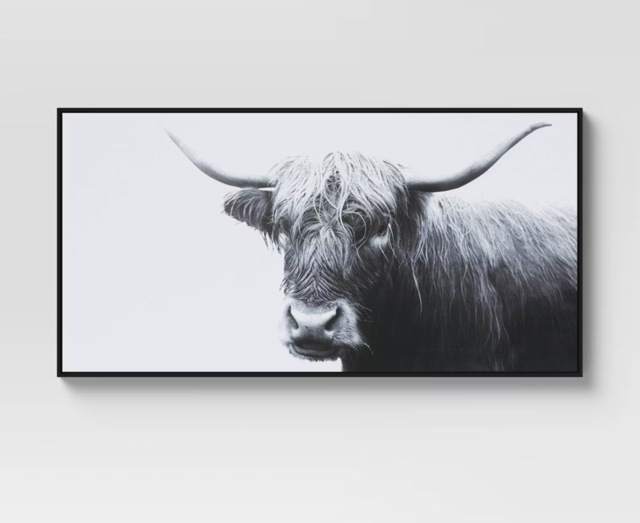 47" x 24" Highland Cow Framed Canvas SHOWROOM ITEM
