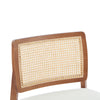 1-Piece Modern Lounge Chair with Woven Backrest