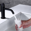 Black Single Hole Faucet Single Hole Faucet Single-handle Bathroom Faucet with Drain Assembly