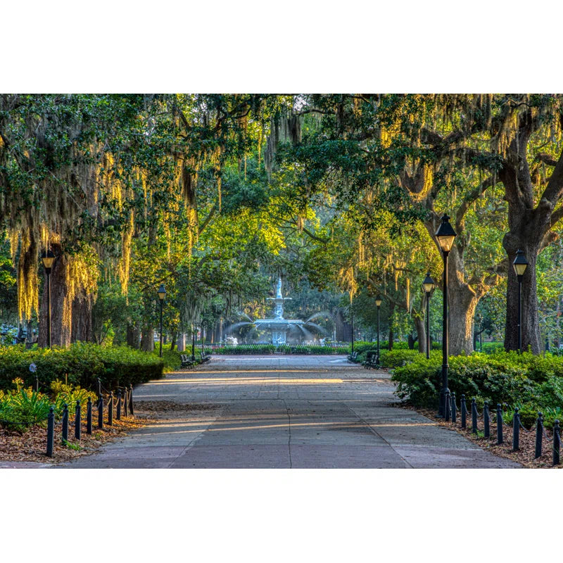 " Spanish Moss Savannah Georgia "