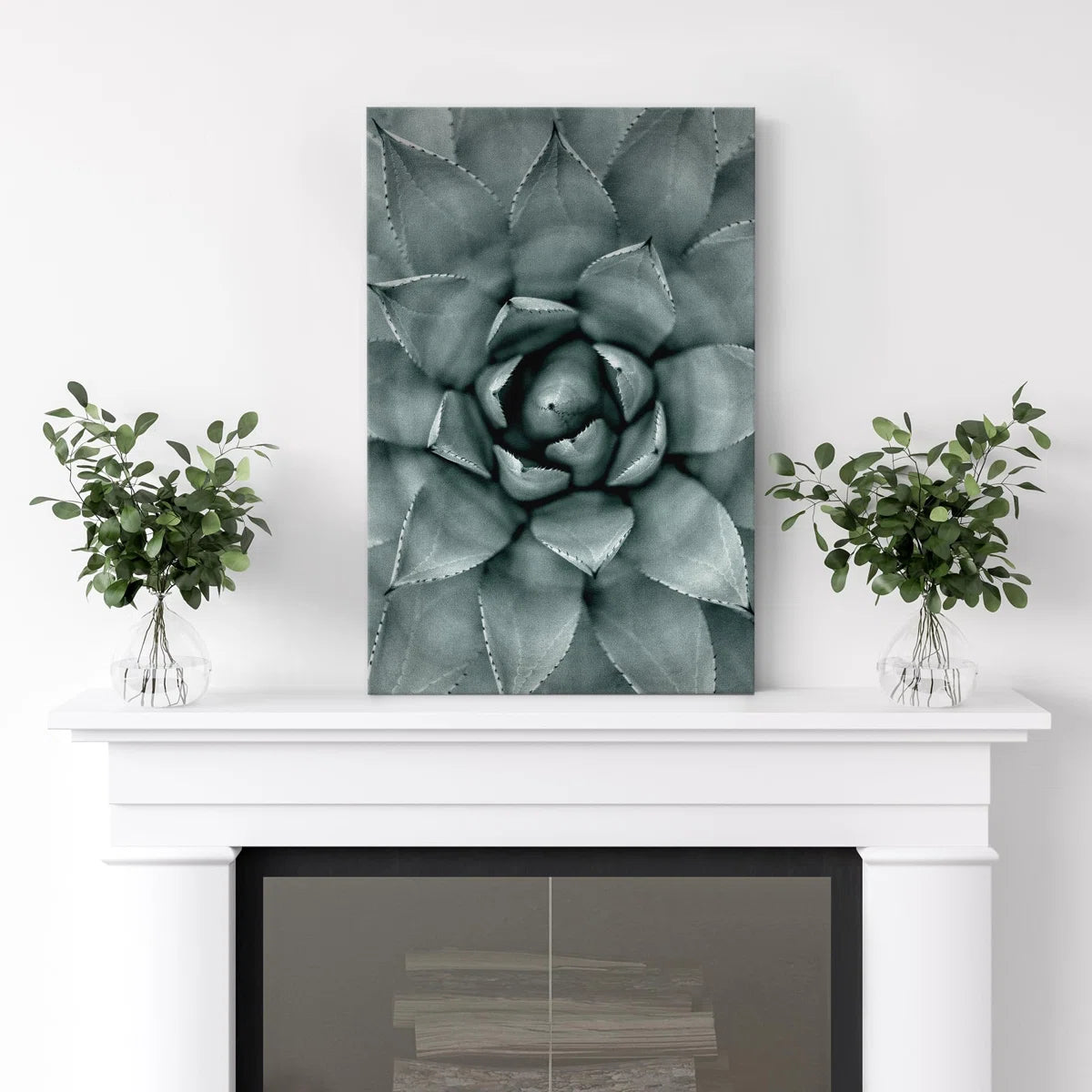 Succulent " Monochrome Succulent Plant "