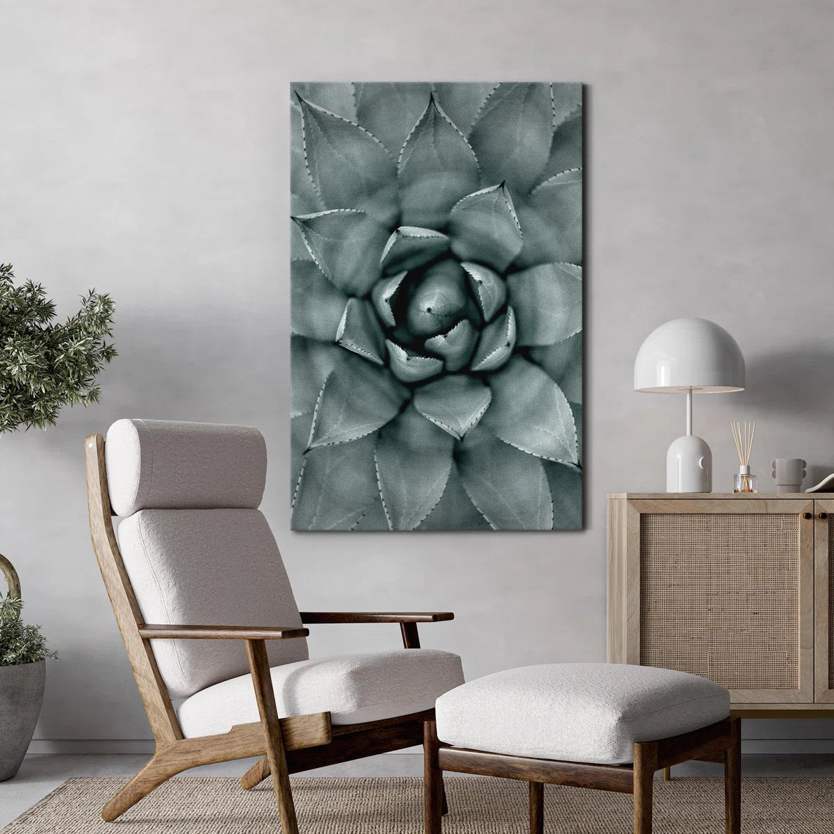 Succulent " Monochrome Succulent Plant "