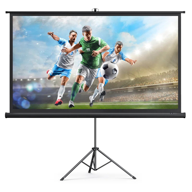 Outdoor Portable Projector Screen Projector Screen – Salvage & Co Indy