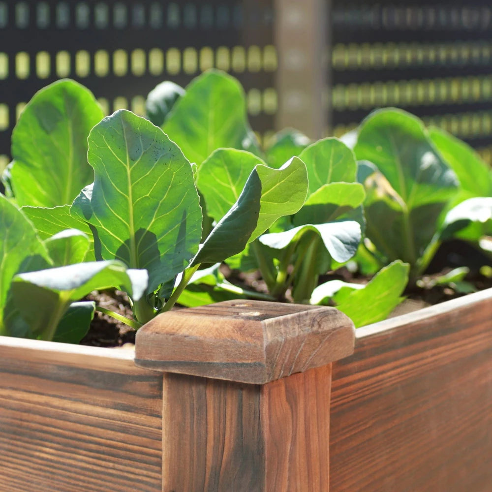 Raised Garden Bed Elevated Planter Box with Drainage Holes - Rustic ...