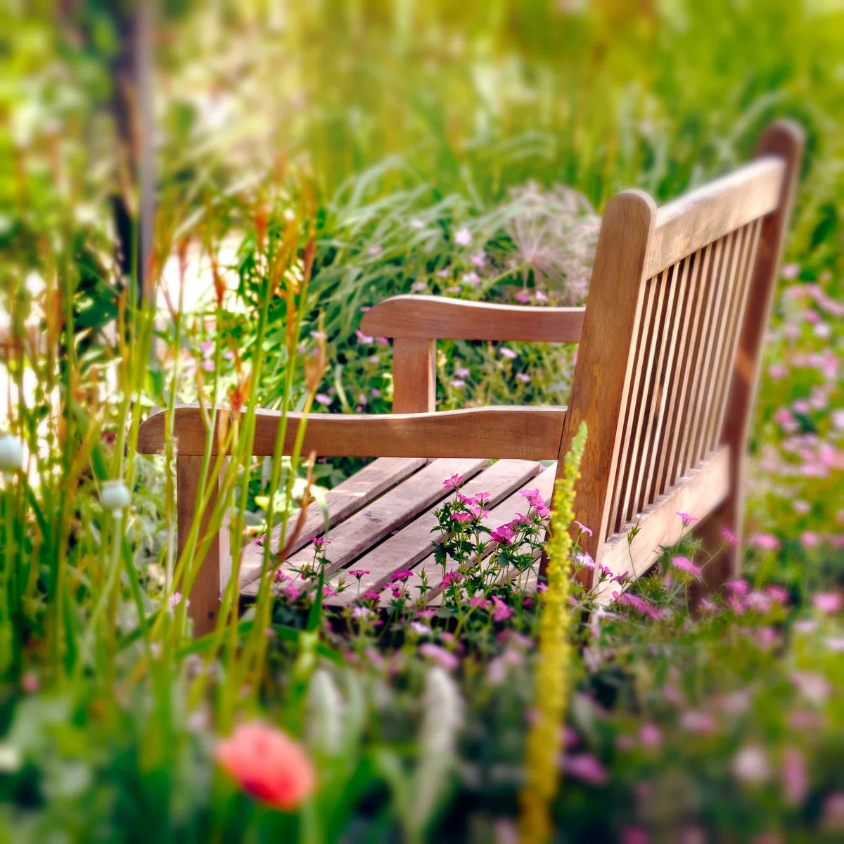 " Wooden Bench " by Altinosmanaj