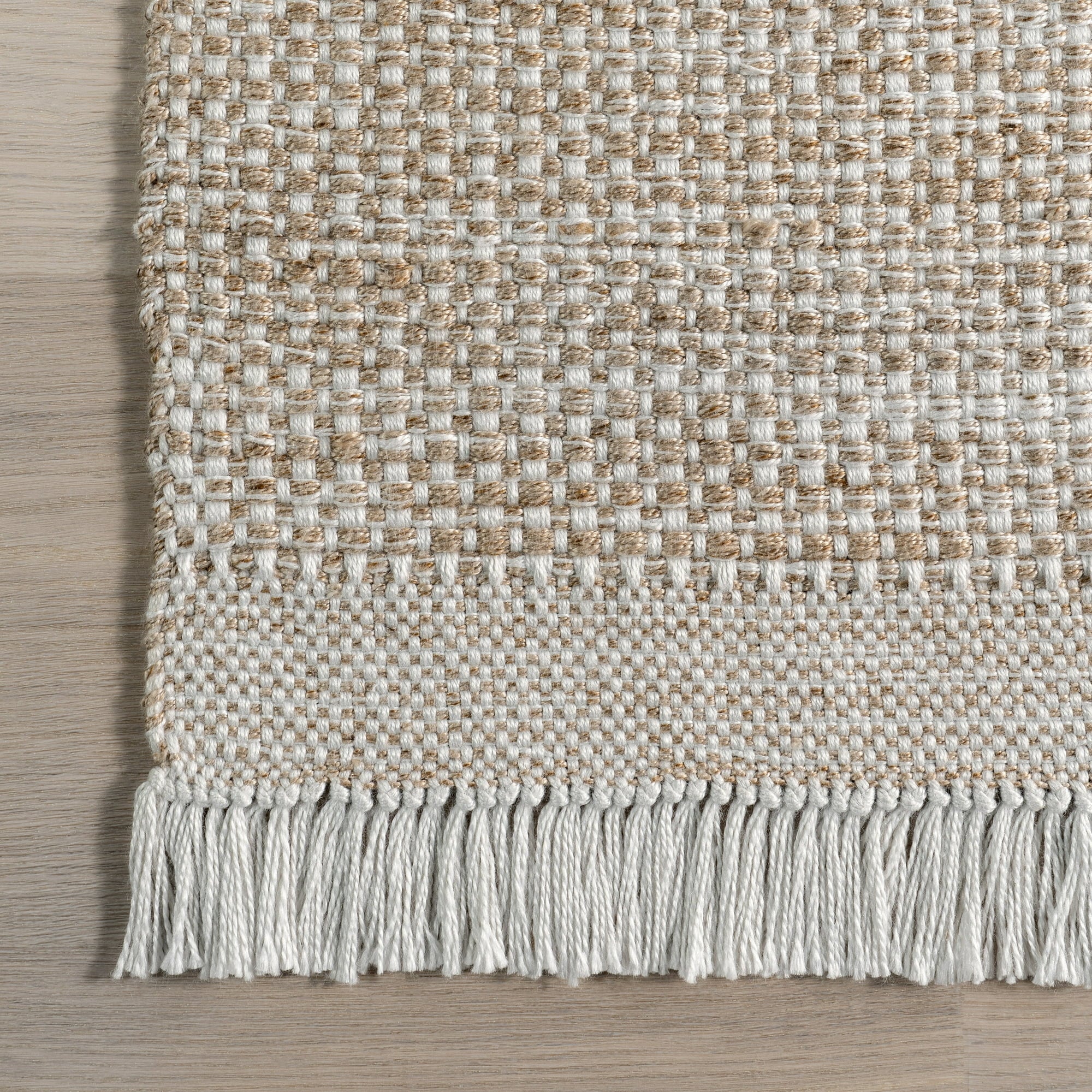 Catherine Solid Farmhouse Fringe Area Rug - 4' x 6' Beige