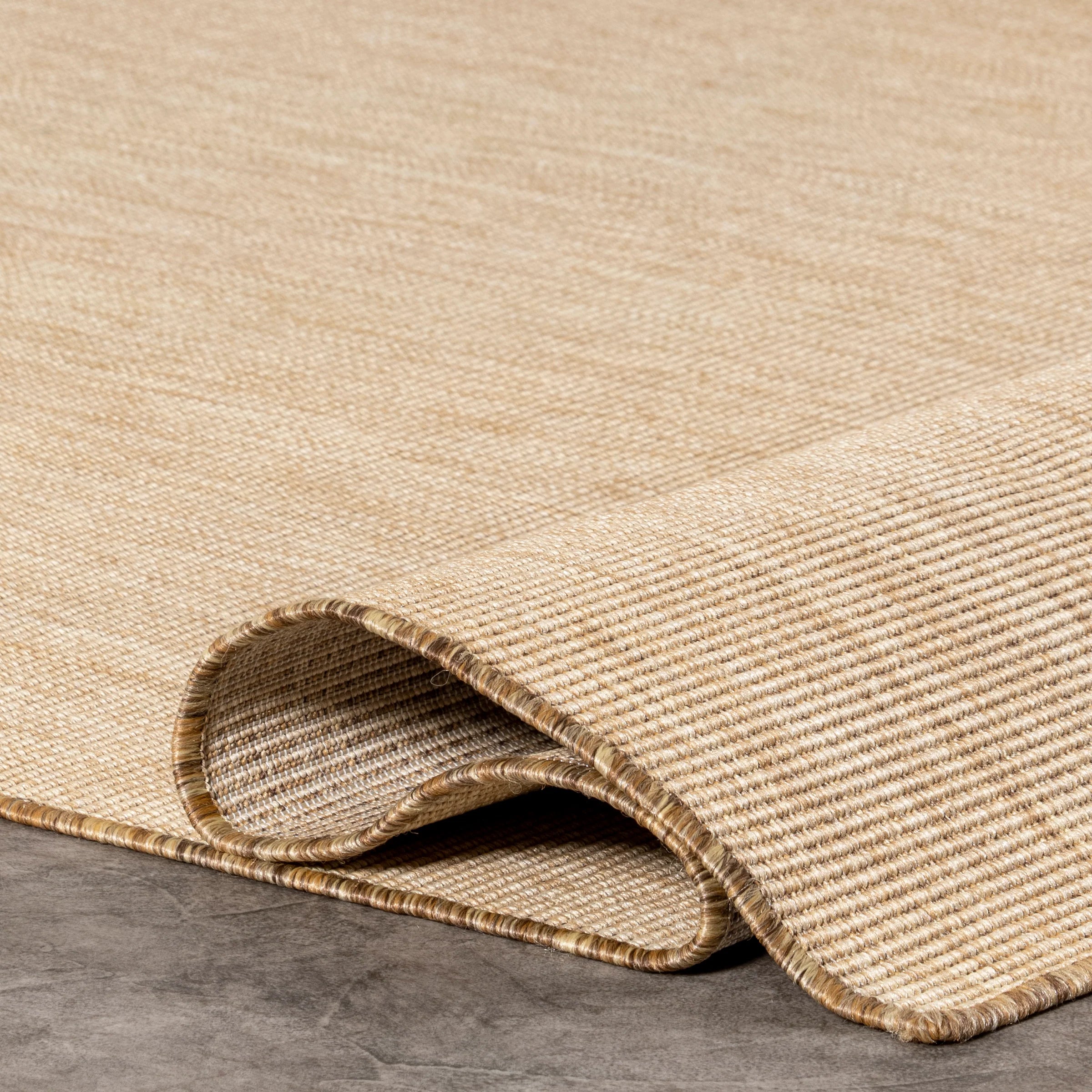Nakia Transitional Indoor/Outdoor Area Rug  4' x 6'