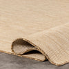 Nakia Transitional Indoor/Outdoor Area Rug  4' x 6'